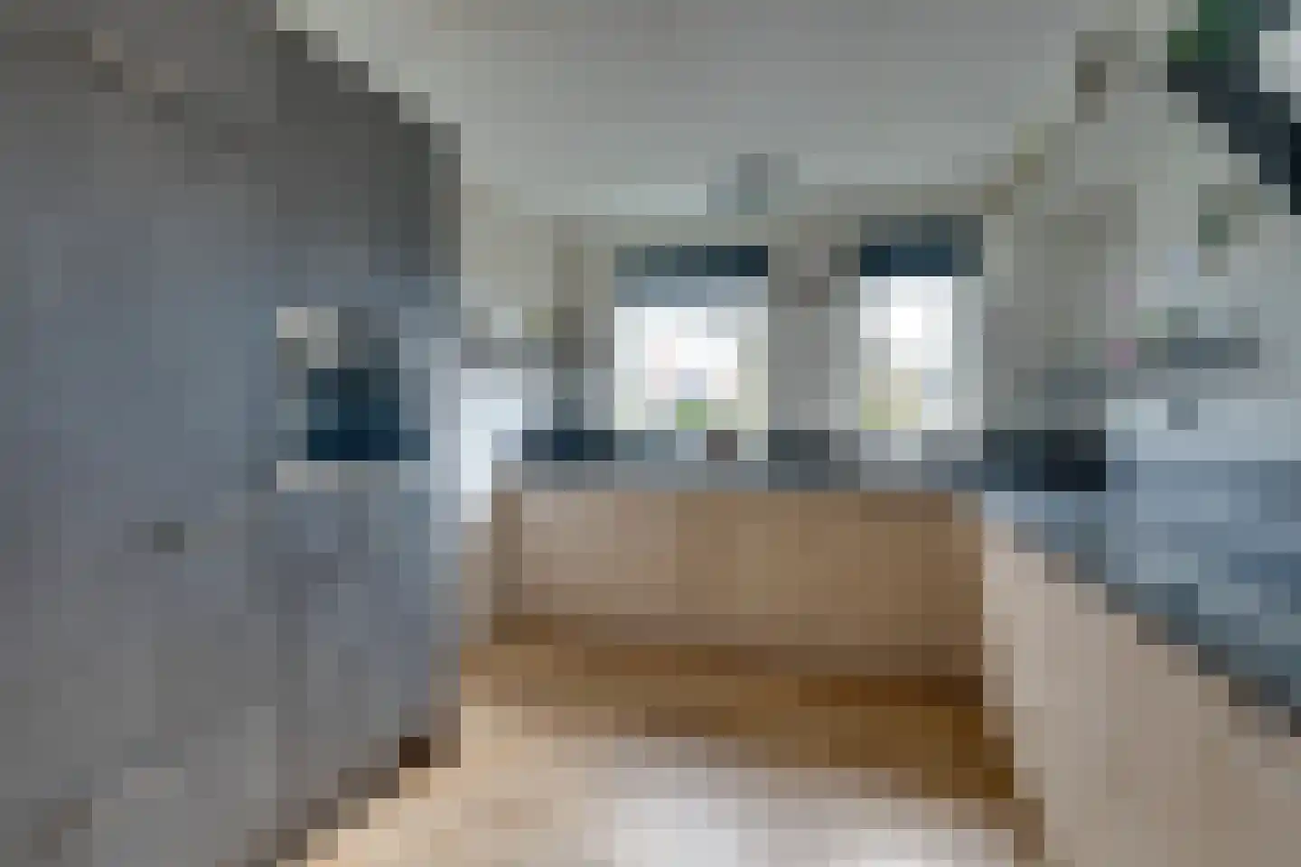 Dwingel 78 De Goorn thumbnail 15