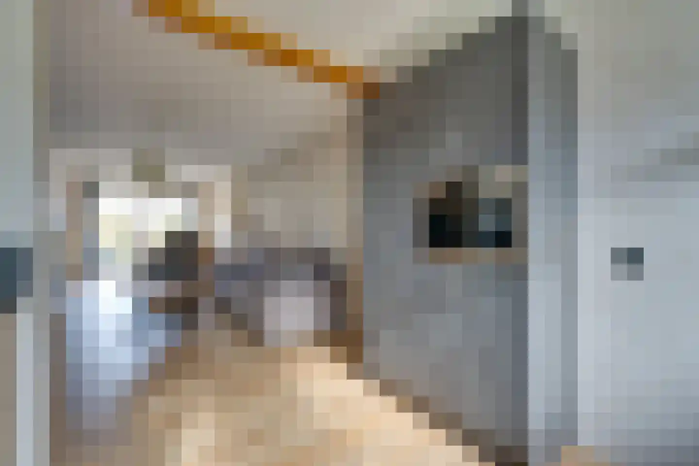 Dwingel 78 De Goorn thumbnail 19