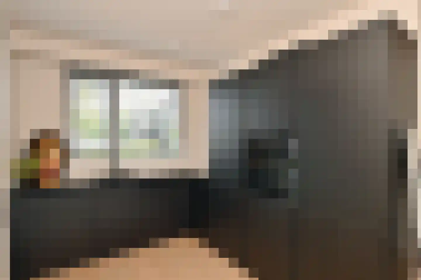 Dwingel 8 Steenbergen thumbnail 12
