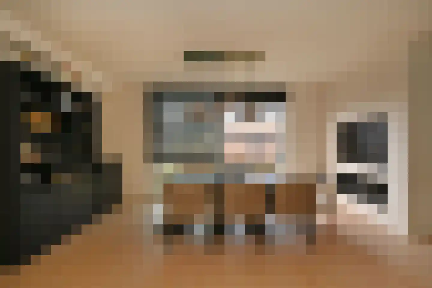 Dwingel 8 Steenbergen thumbnail 15