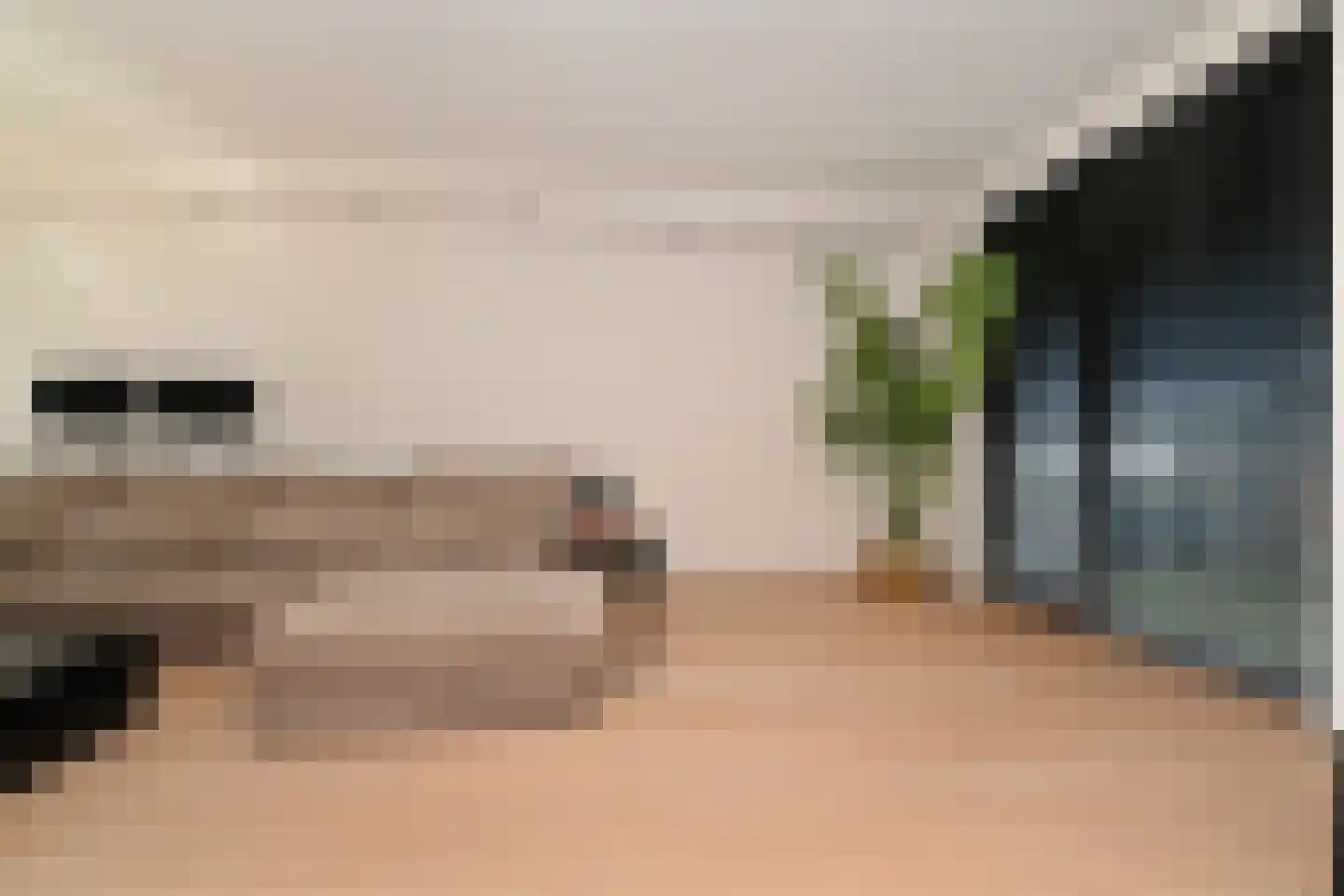 Dwingel 8 Steenbergen thumbnail 18