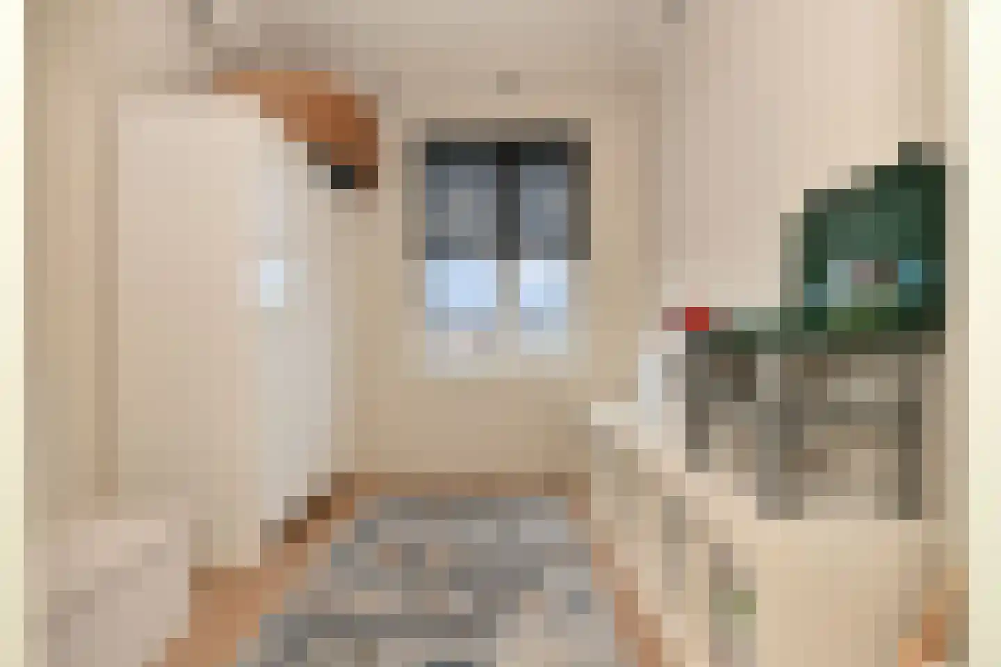 Dwingel 8 Steenbergen thumbnail 23