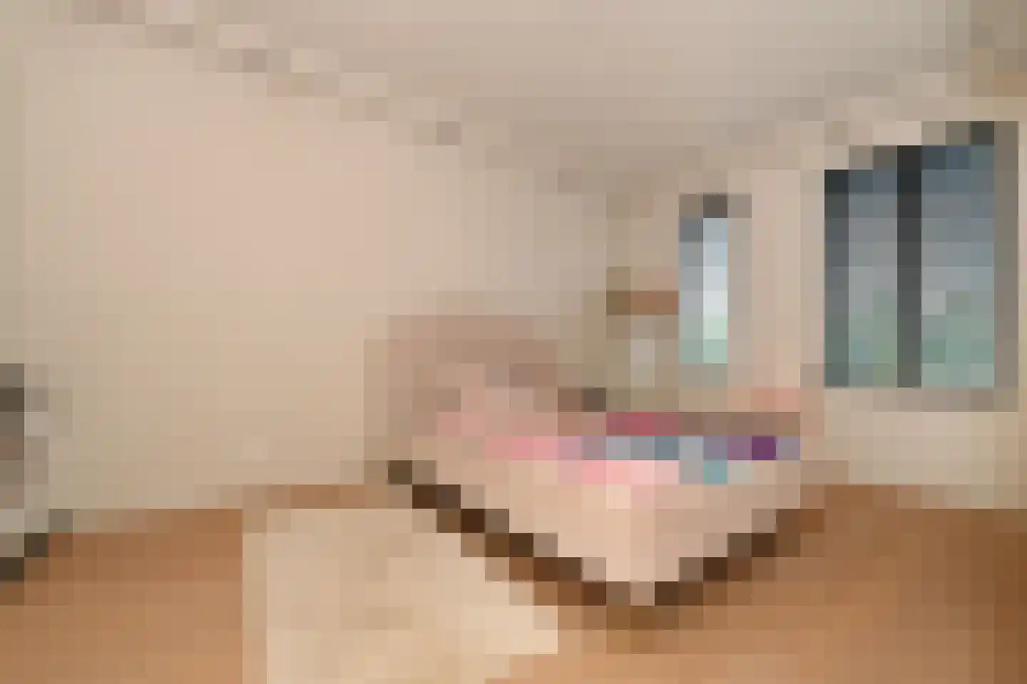 Dwingel 8 Steenbergen thumbnail 24