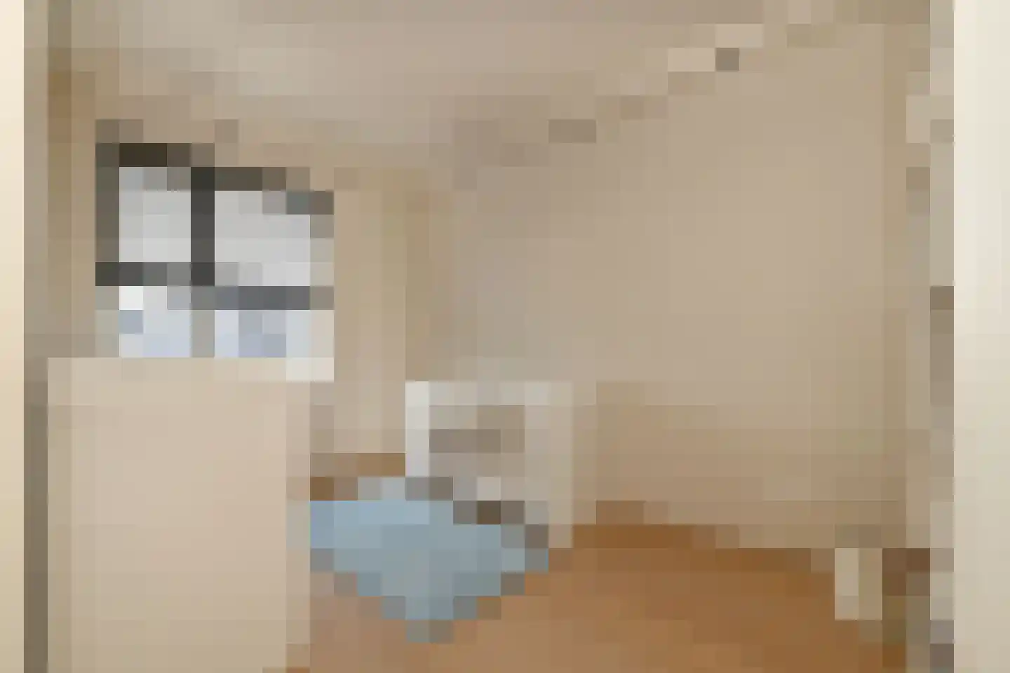 Dwingel 8 Steenbergen thumbnail 26