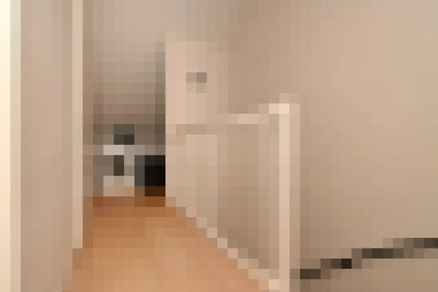 Dwingel 8 Steenbergen thumbnail 28