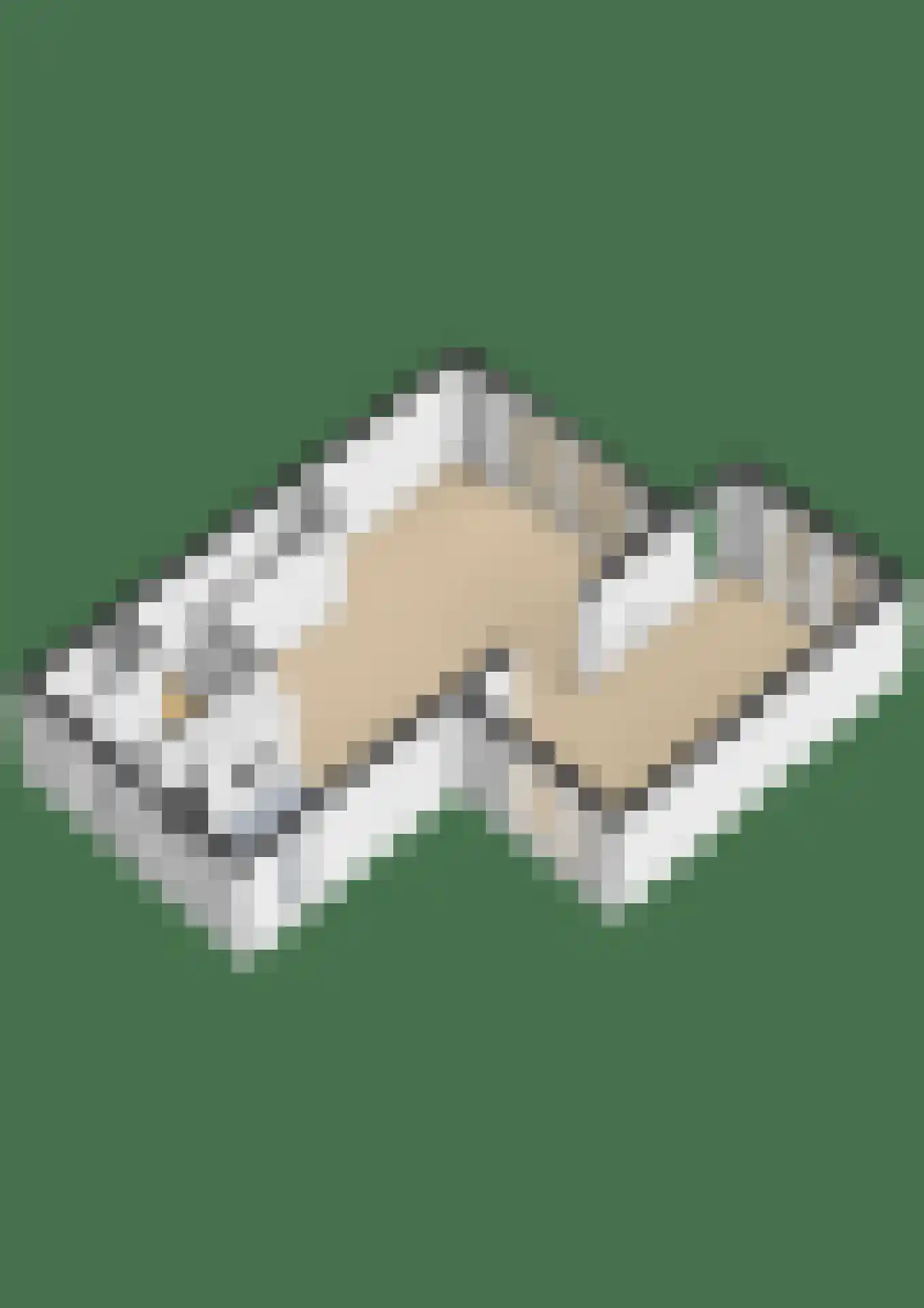 Dwingel 8 Steenbergen thumbnail 39