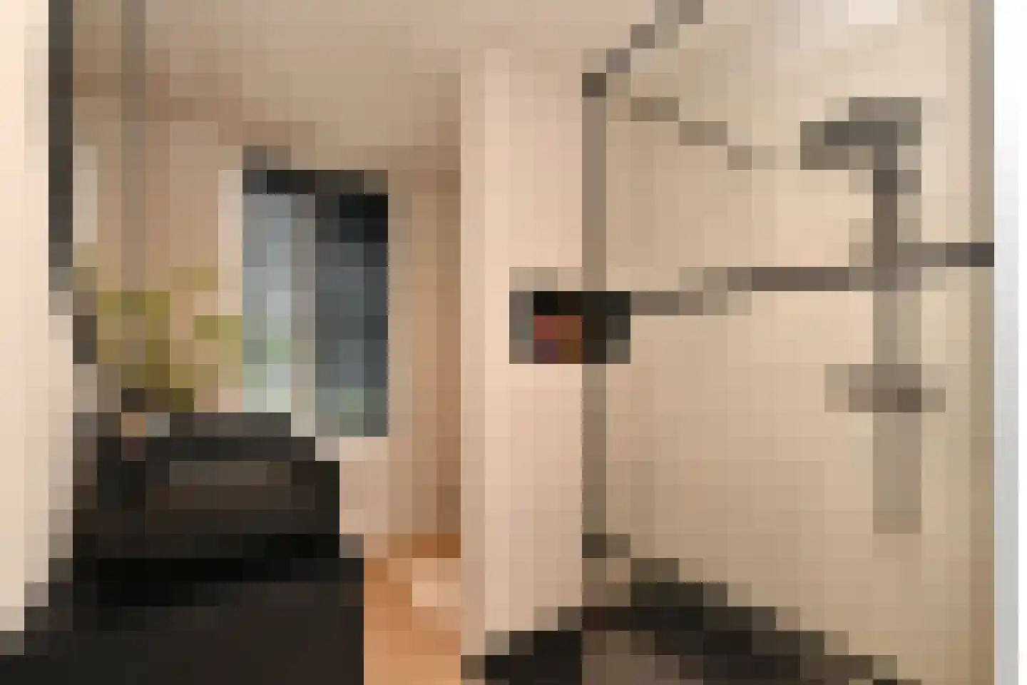 Dwingel 8 Steenbergen thumbnail 4