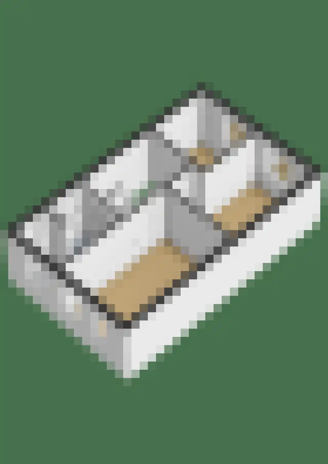 Dwingel 8 Steenbergen thumbnail 41