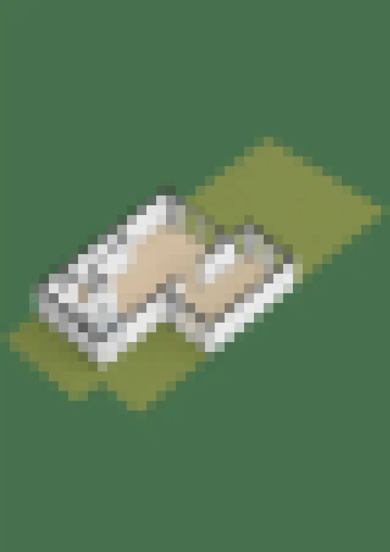 Dwingel 8 Steenbergen thumbnail 43