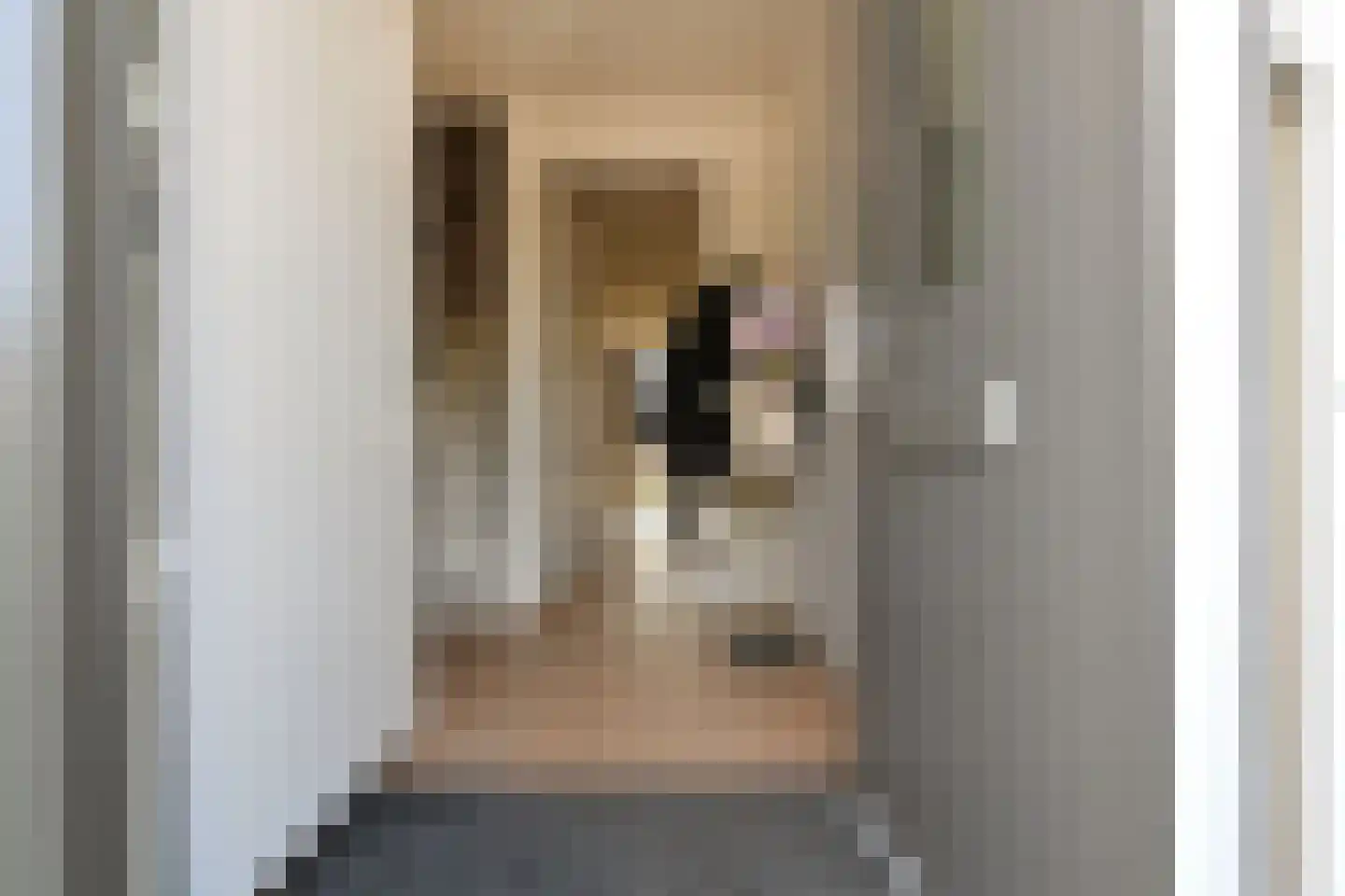 Dwingel 8 Steenbergen thumbnail 7
