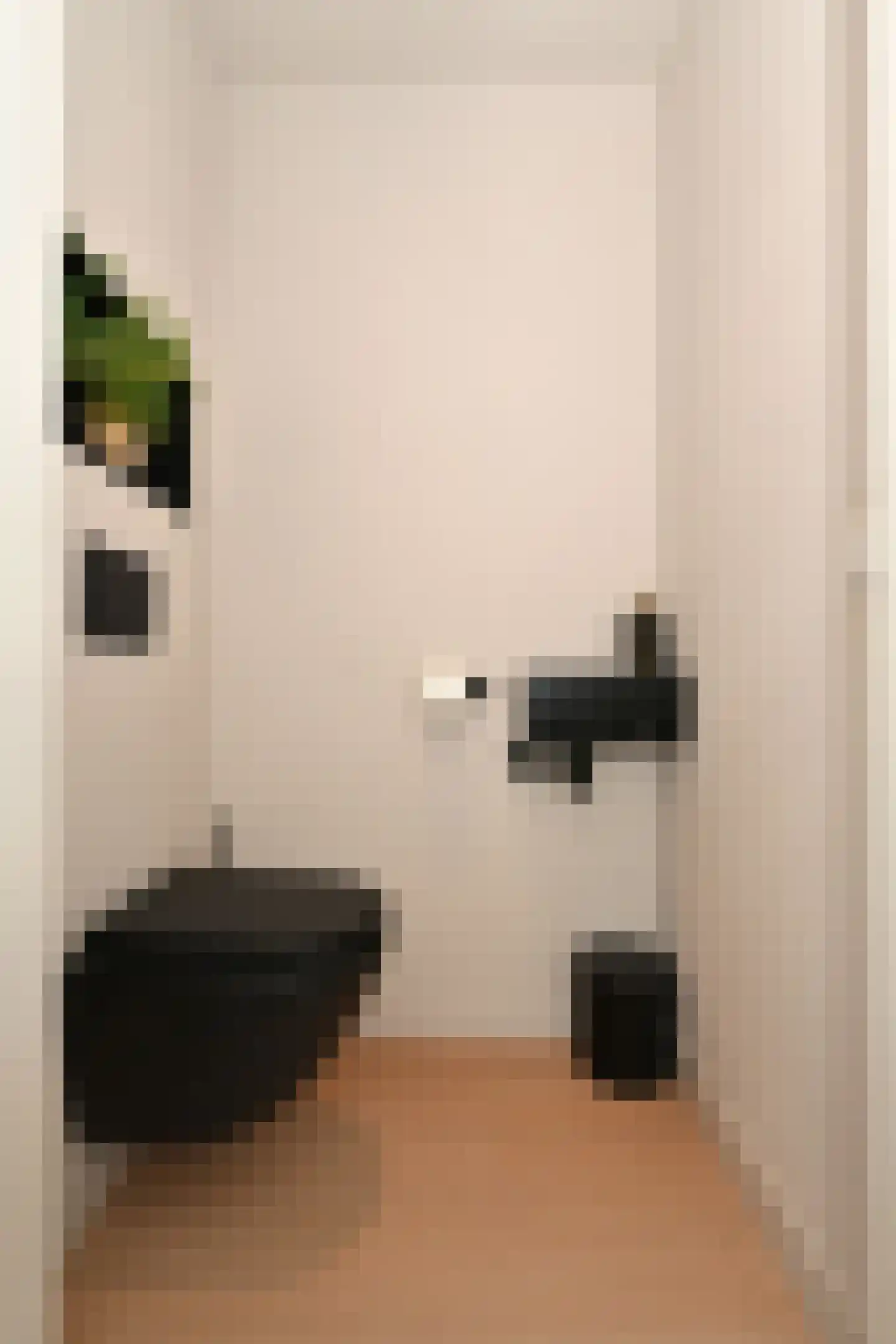 Dwingel 8 Steenbergen thumbnail 8