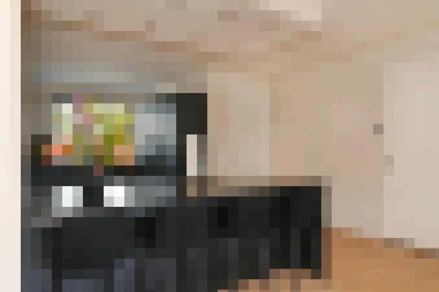 Dwingel 8 Steenbergen thumbnail 9