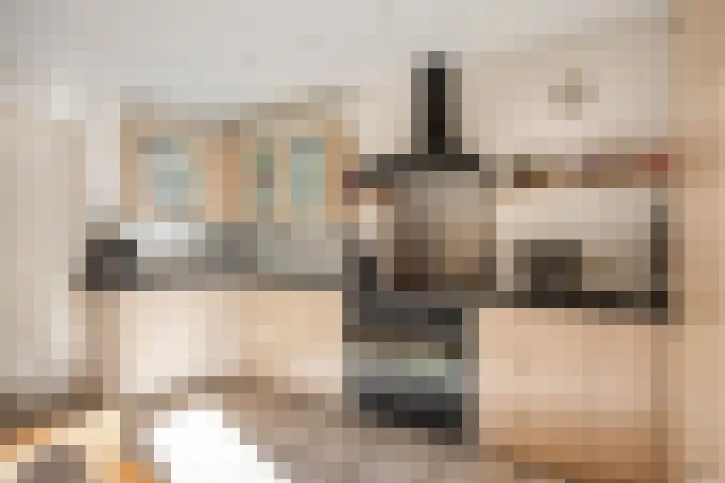 Dwingelderdijk 23 Dwingeloo thumbnail 11