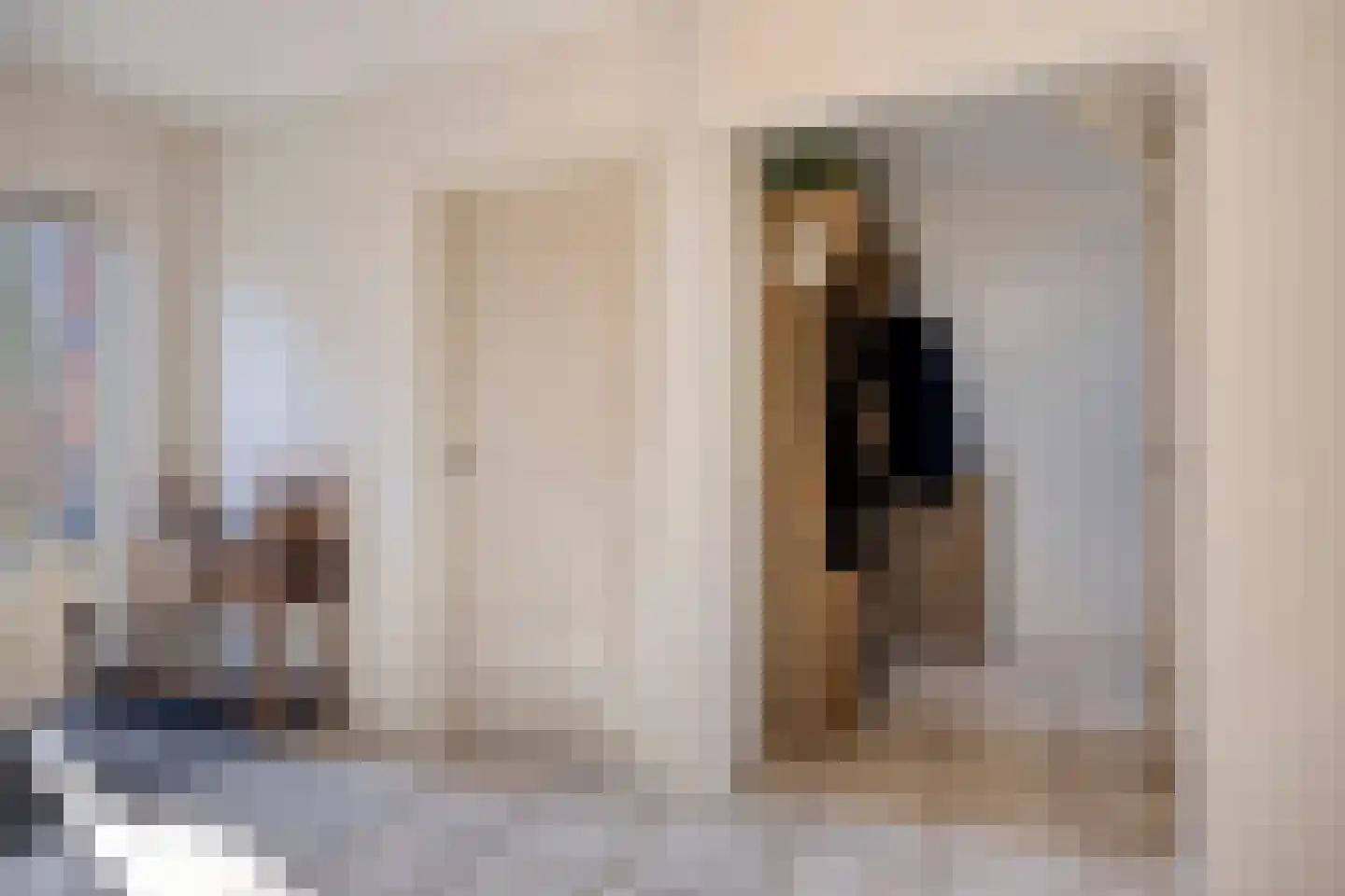 Dwingelderdijk 23 Dwingeloo thumbnail 17