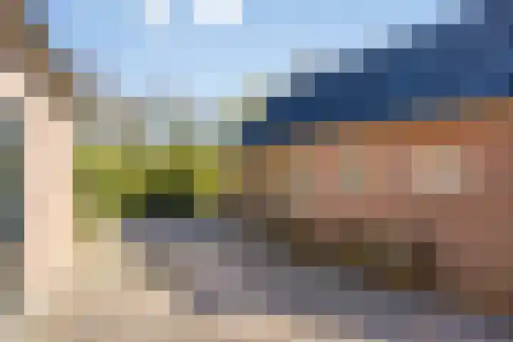 Dwingelderdijk 23 Dwingeloo thumbnail 36