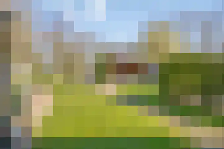 Dwingelderdijk 23 Dwingeloo thumbnail 39