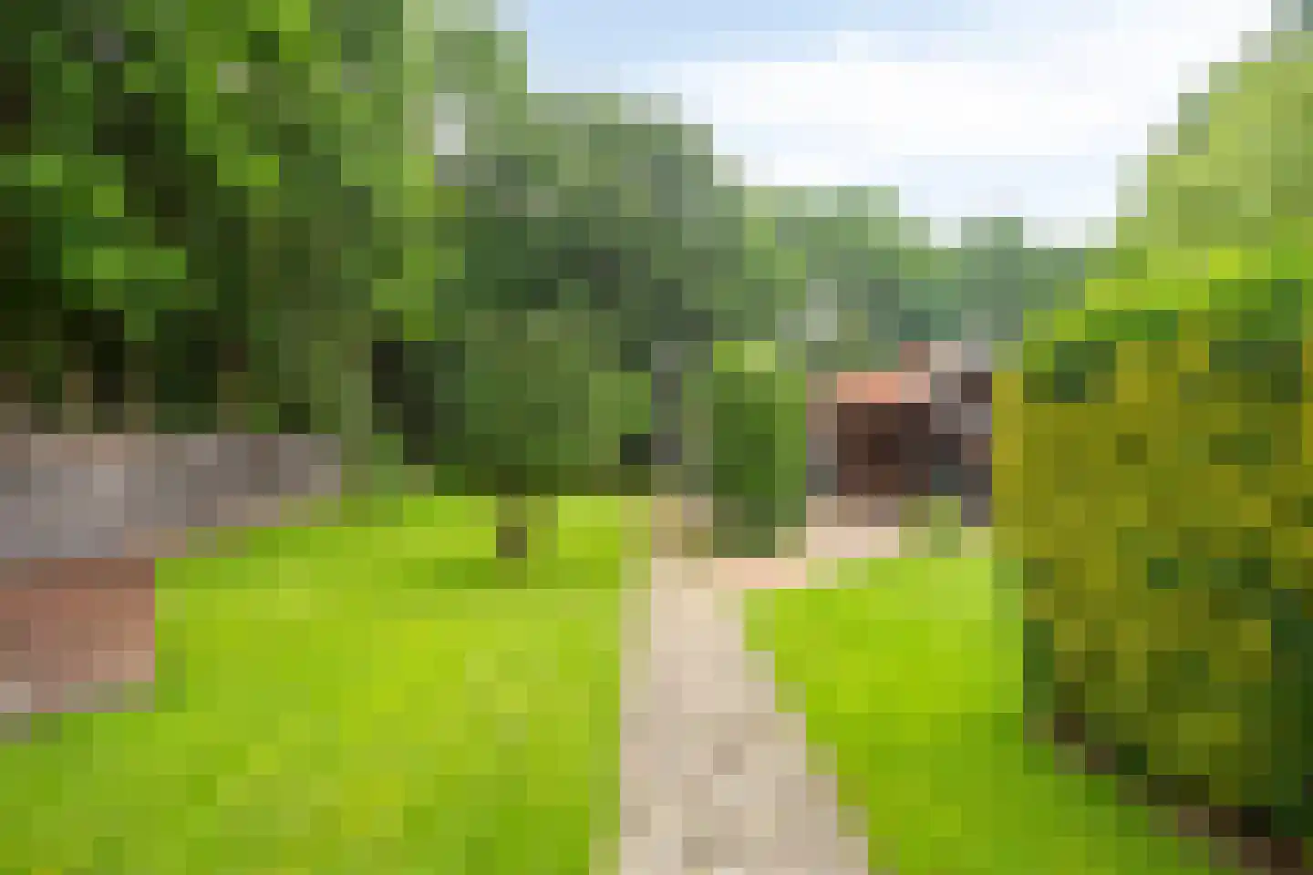 Dwingelderdijk 23 Dwingeloo thumbnail 4