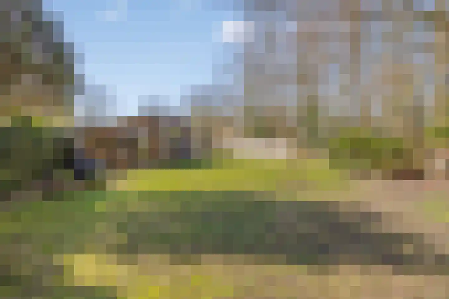 Dwingelderdijk 23 Dwingeloo thumbnail 4