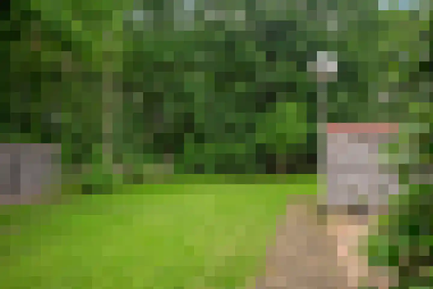 Dwingelderdijk 23 Dwingeloo thumbnail 41