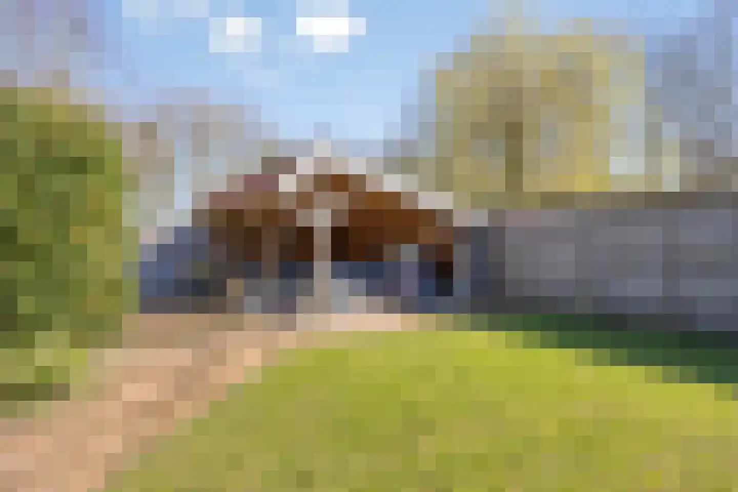 Dwingelderdijk 23 Dwingeloo thumbnail 41
