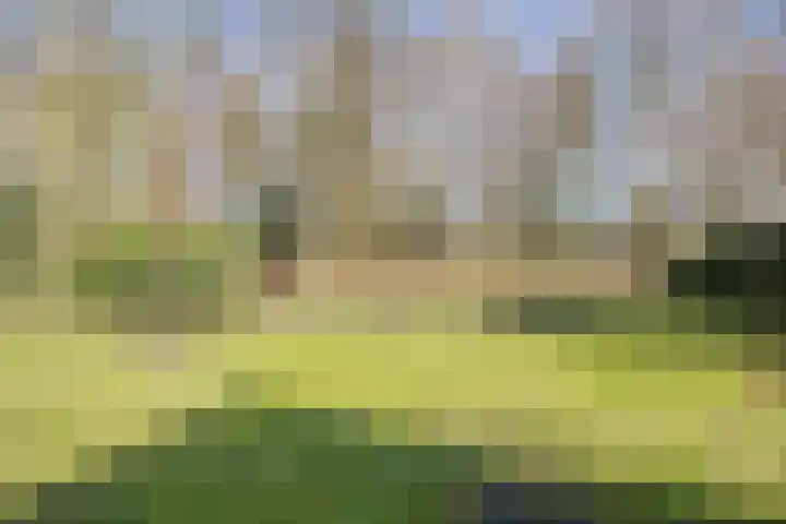 Dwingelderdijk 23 Dwingeloo thumbnail 42