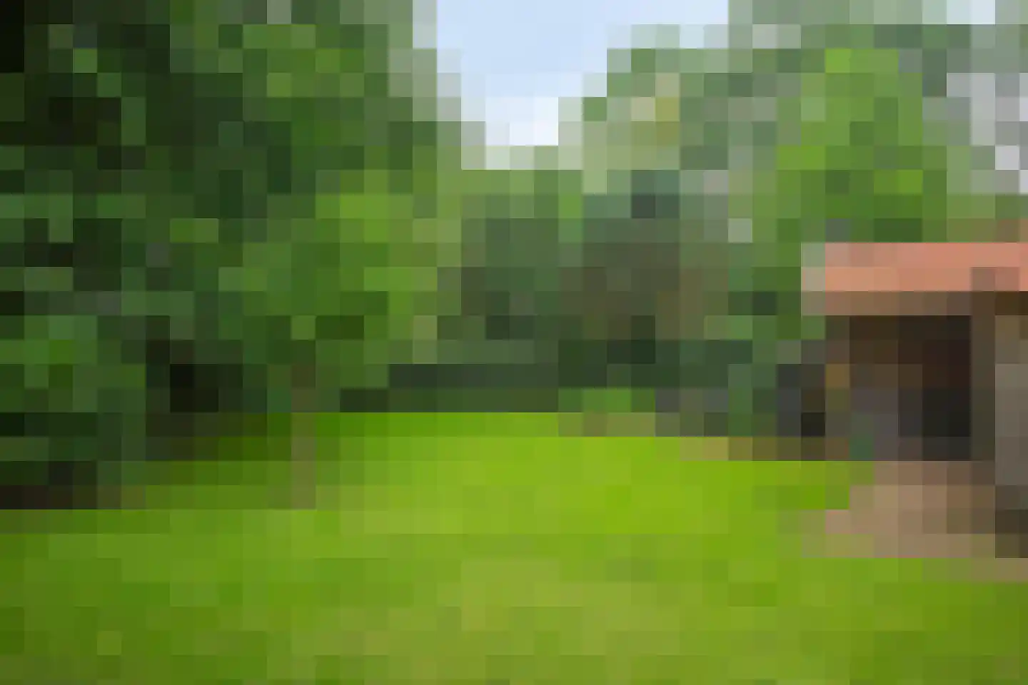 Dwingelderdijk 23 Dwingeloo thumbnail 42