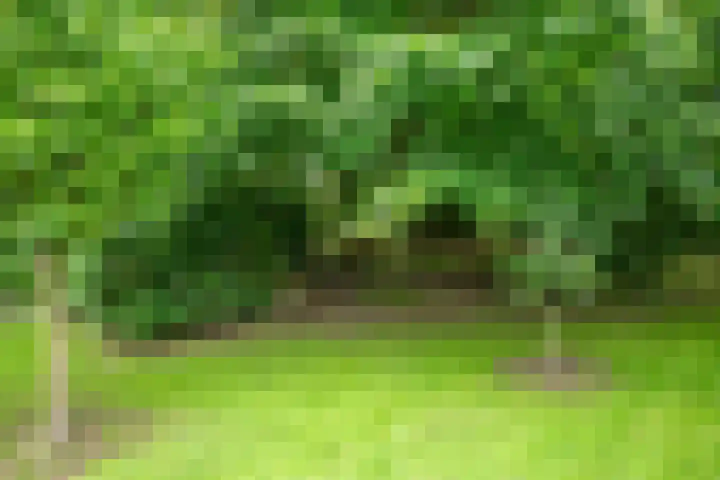 Dwingelderdijk 23 Dwingeloo thumbnail 43