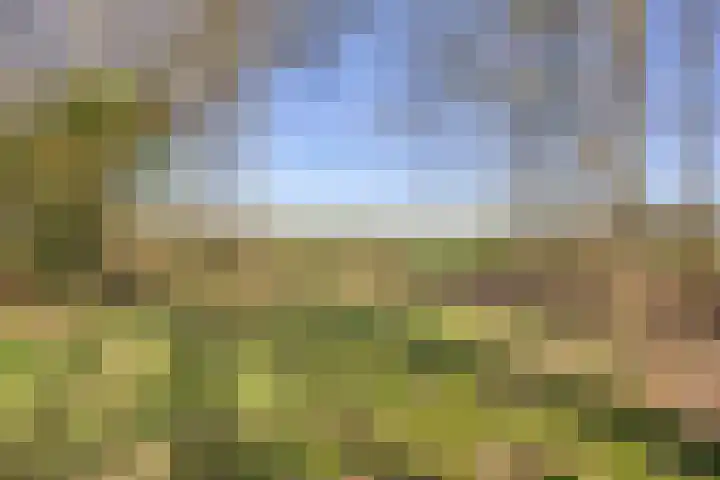 Dwingelderdijk 23 Dwingeloo thumbnail 43