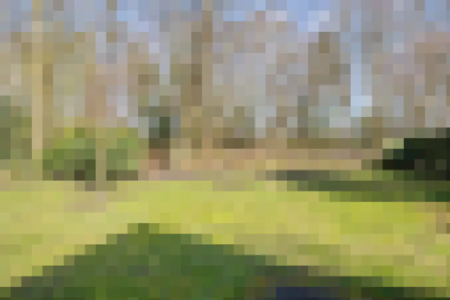 Dwingelderdijk 23 Dwingeloo thumbnail 43