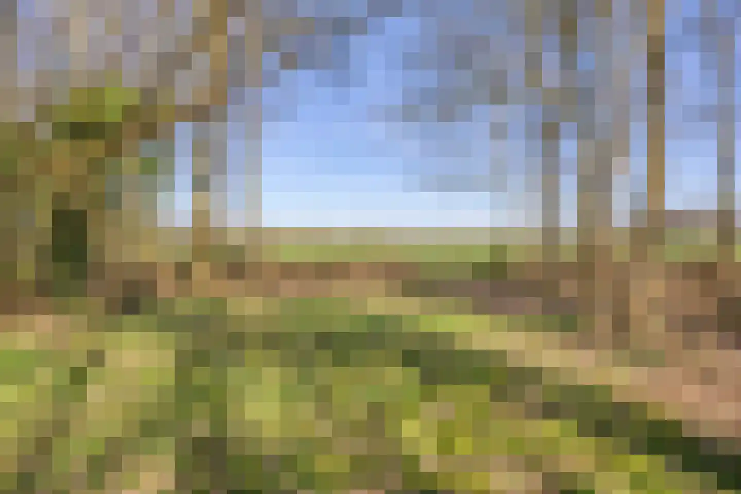 Dwingelderdijk 23 Dwingeloo thumbnail 44