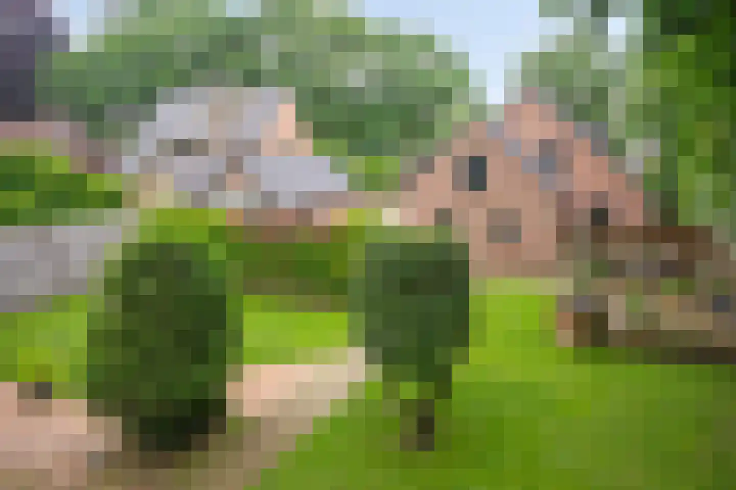 Dwingelderdijk 23 Dwingeloo thumbnail 45