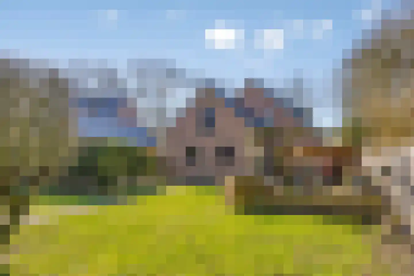 Dwingelderdijk 23 Dwingeloo thumbnail 45