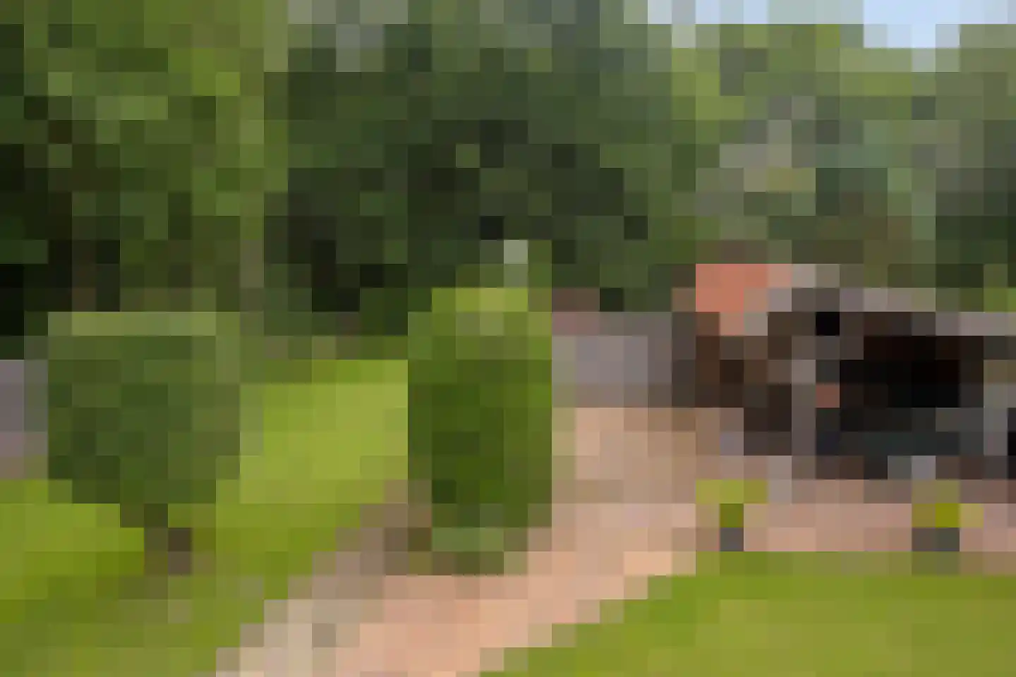 Dwingelderdijk 23 Dwingeloo thumbnail 46