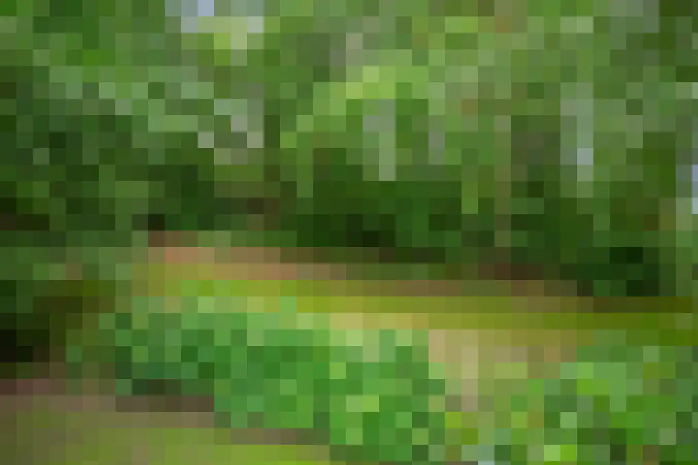 Dwingelderdijk 23 Dwingeloo thumbnail 47