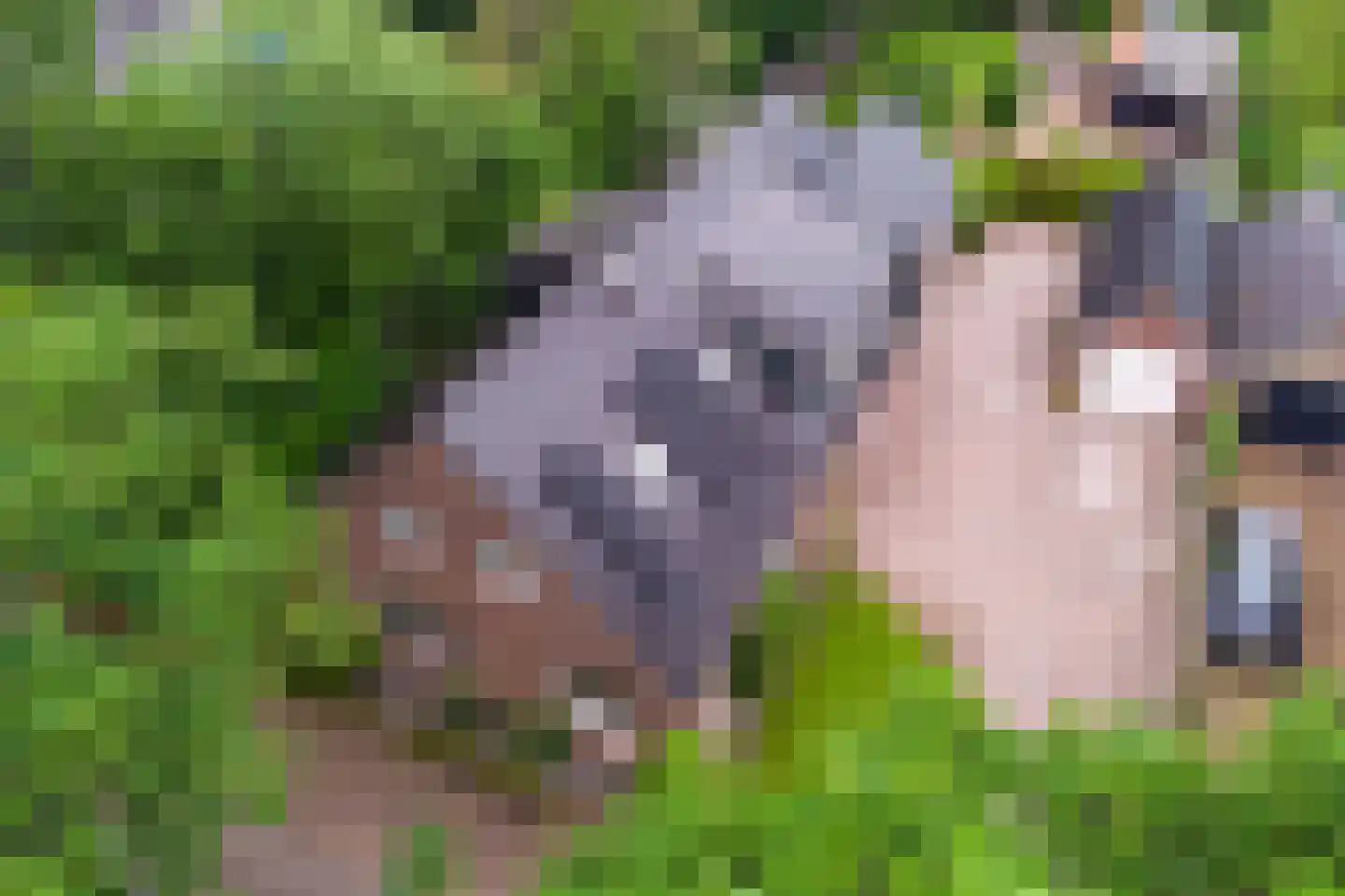 Dwingelderdijk 23 Dwingeloo thumbnail 48