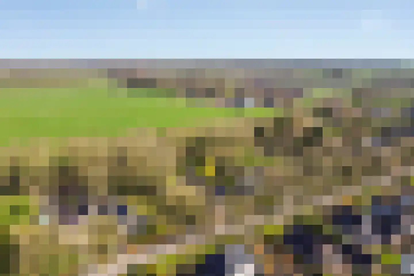 Dwingelderdijk 23 Dwingeloo thumbnail 48