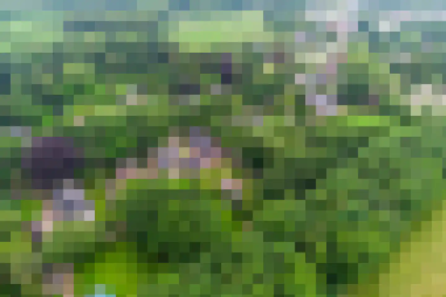Dwingelderdijk 23 Dwingeloo thumbnail 49