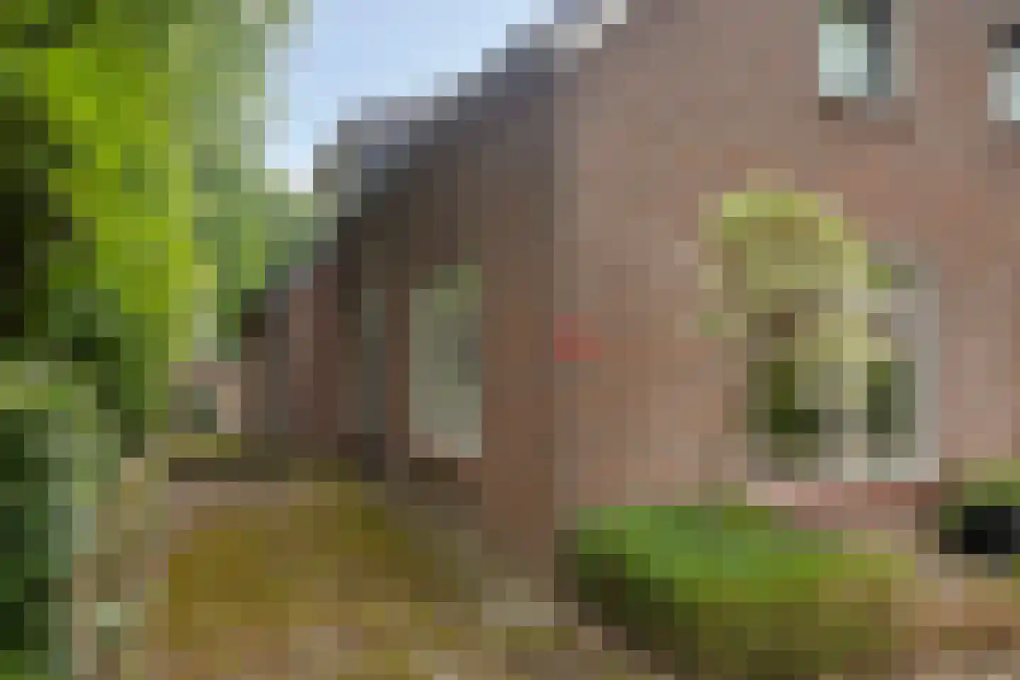 Dwingelderdijk 23 Dwingeloo thumbnail 51