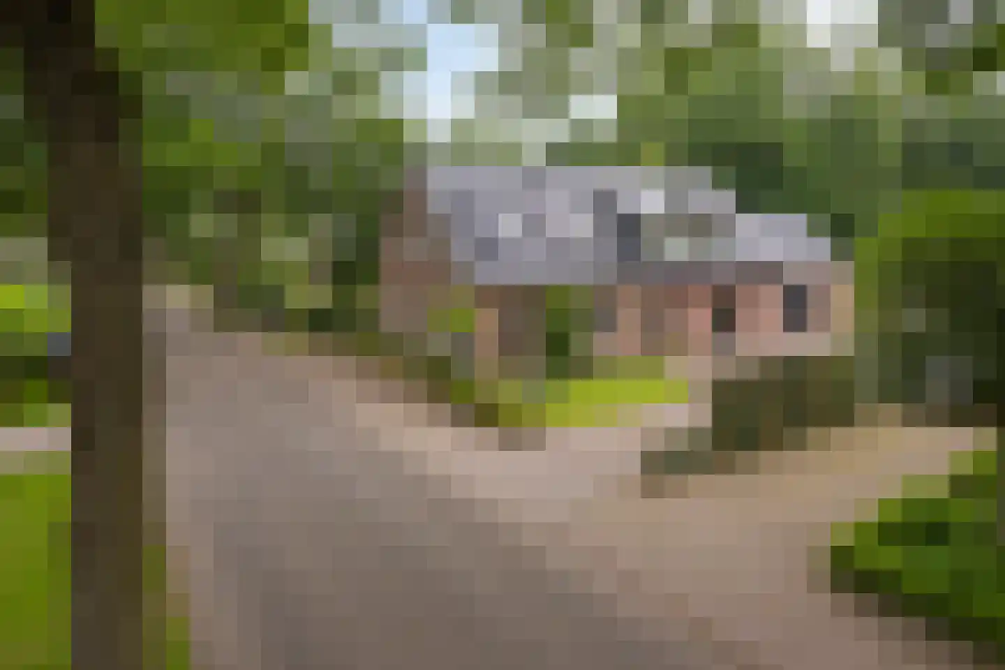 Dwingelderdijk 23 Dwingeloo thumbnail 52