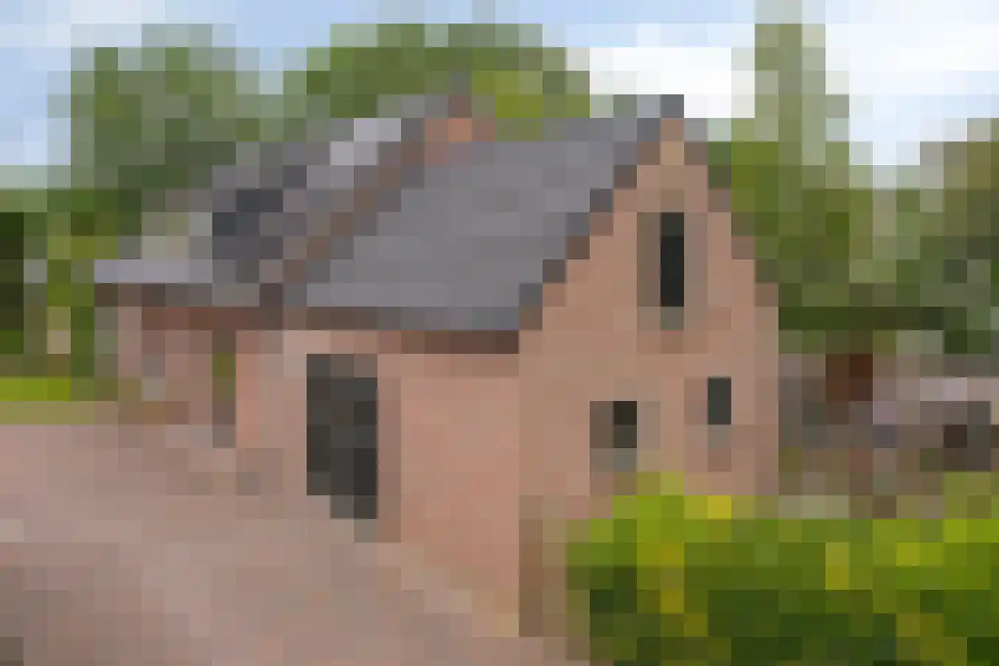 Dwingelderdijk 23 Dwingeloo thumbnail 56