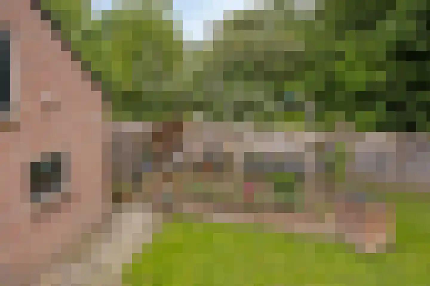 Dwingelderdijk 23 Dwingeloo thumbnail 57