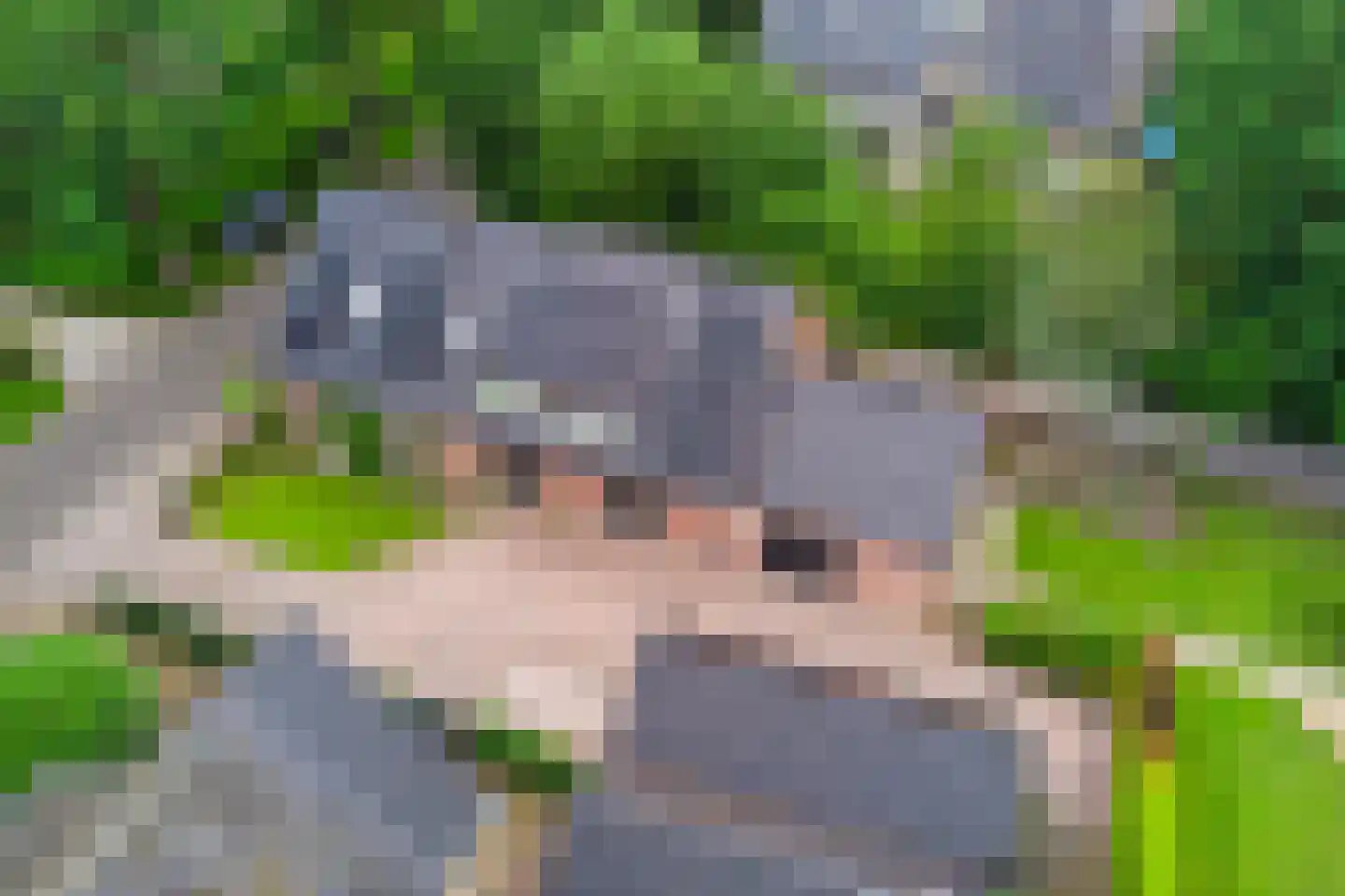 Dwingelderdijk 23 Dwingeloo thumbnail 62
