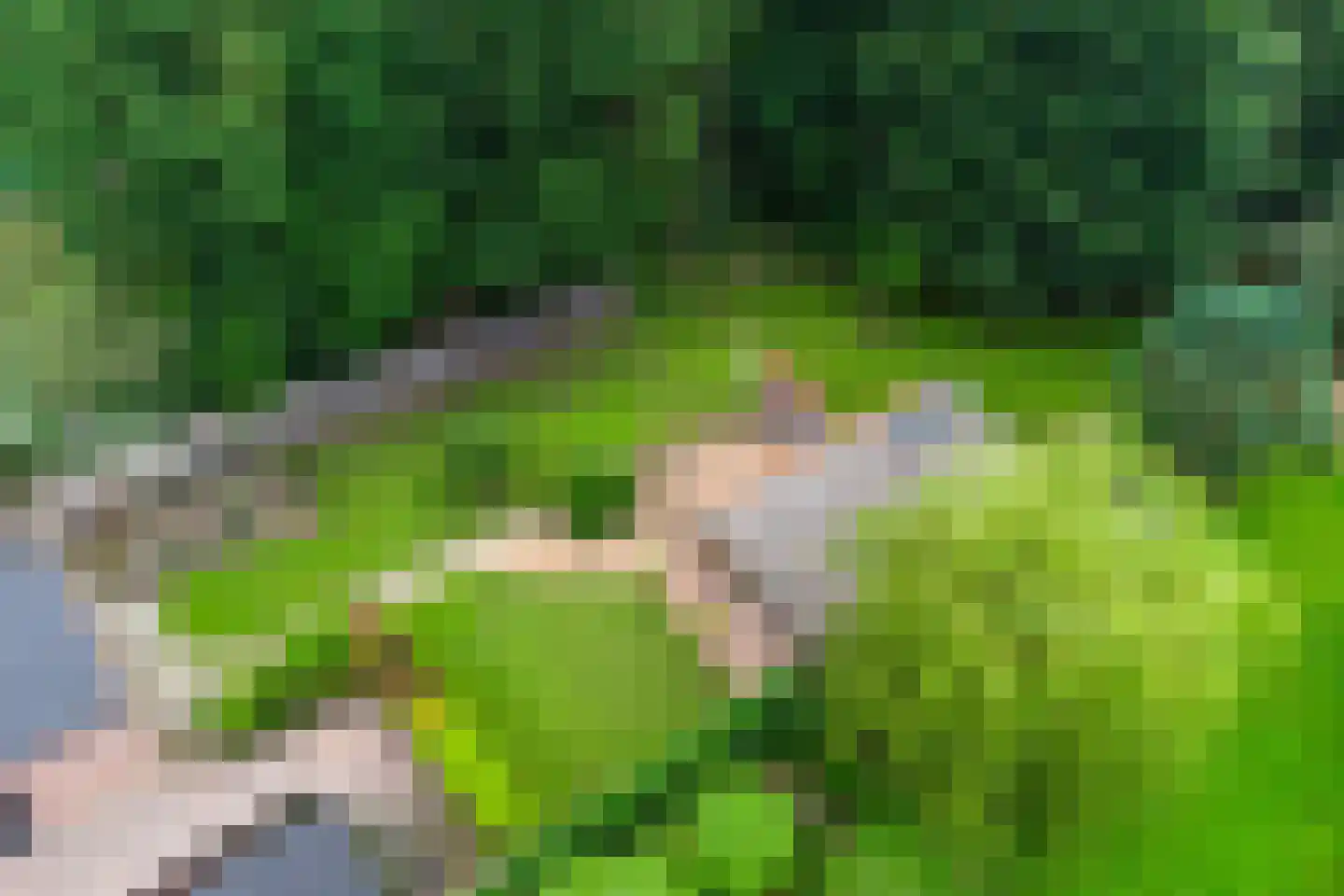 Dwingelderdijk 23 Dwingeloo thumbnail 63