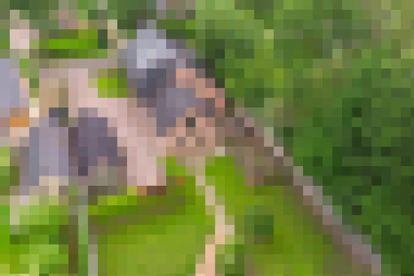 Dwingelderdijk 23 Dwingeloo thumbnail 65