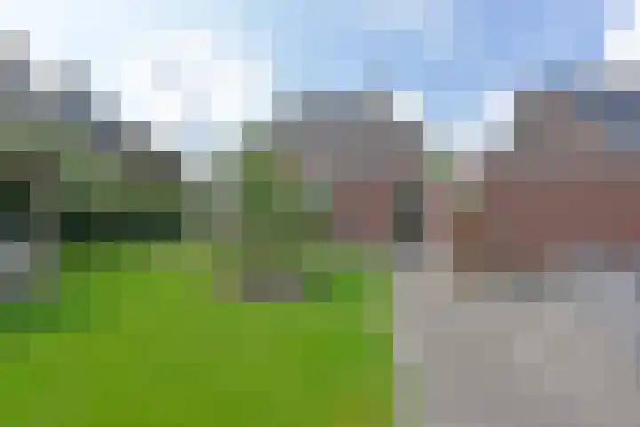 Dwingelderveld 3 Zeewolde thumbnail 4
