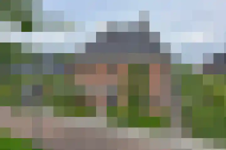 Dwingelderveld 3 Zeewolde thumbnail 42