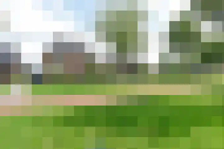 Dwingelderveld 3 Zeewolde thumbnail 44