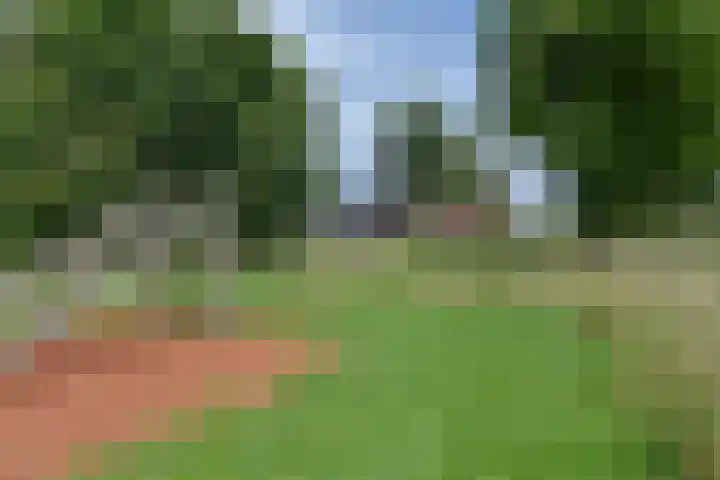 Dwingelderveld 3 Zeewolde thumbnail 45