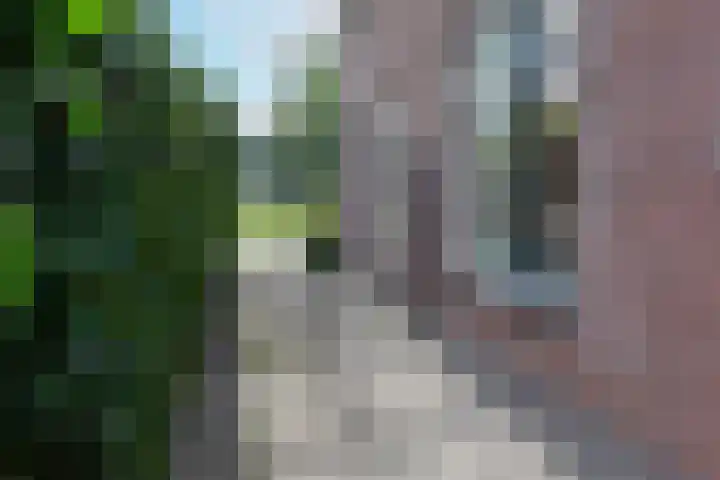 Dwingelderveld 3 Zeewolde thumbnail 47