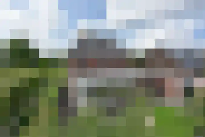 Dwingelderveld 3 Zeewolde thumbnail 49